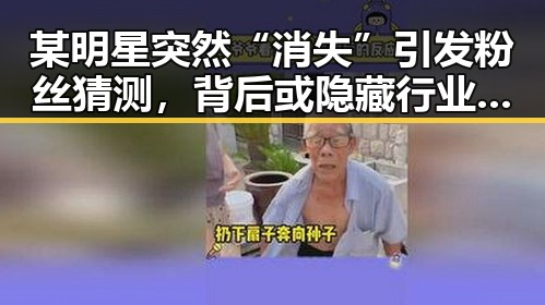 某明星突然“消失”引发粉丝猜测,背后或隐藏行业玄机?🤔