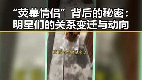 “荧幕情侣”背后的秘密:明星们的关系变迁与动向