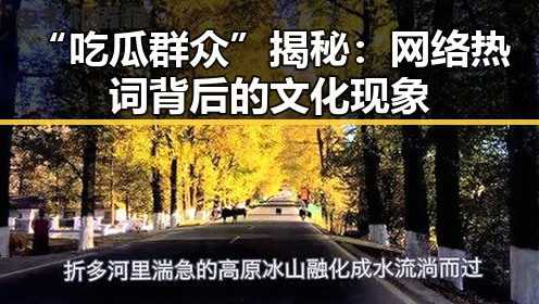 “吃瓜群众”揭秘:网络热词背后的文化现象